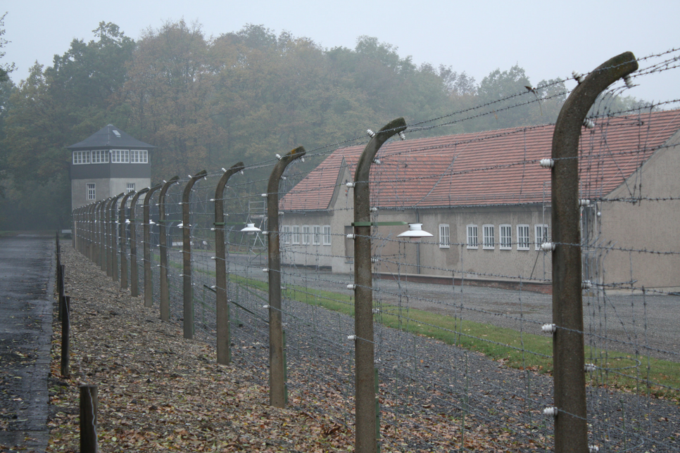 Buchenwald barbed wire [1/2]