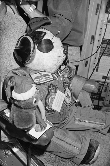 No. 75 Squadron mascot, Henry Fanshaw and a Kiwi, sitting in the Flight Engineer's seat in the cockpit of a No. 40 Squadron Hercules, Riyadh, Feb-Mar 1991. Image ref PD13-30-91, Air Force Museum of New Zealand.