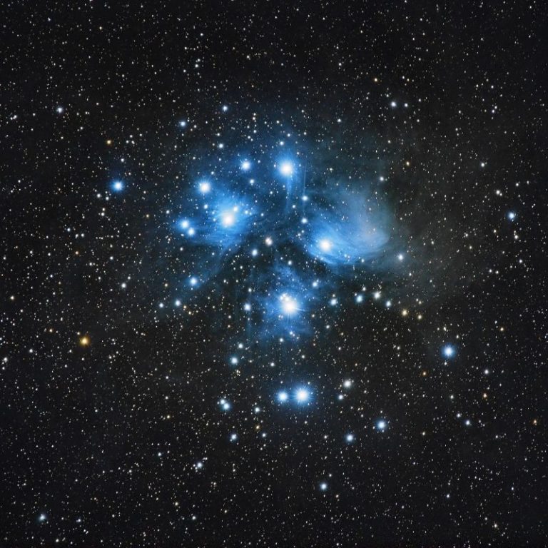 Matariki Let's go fly a kite! Air Force Museum of New Zealand