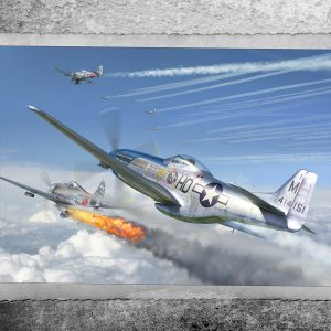 Waltersons - U.S. P-51D Mustang